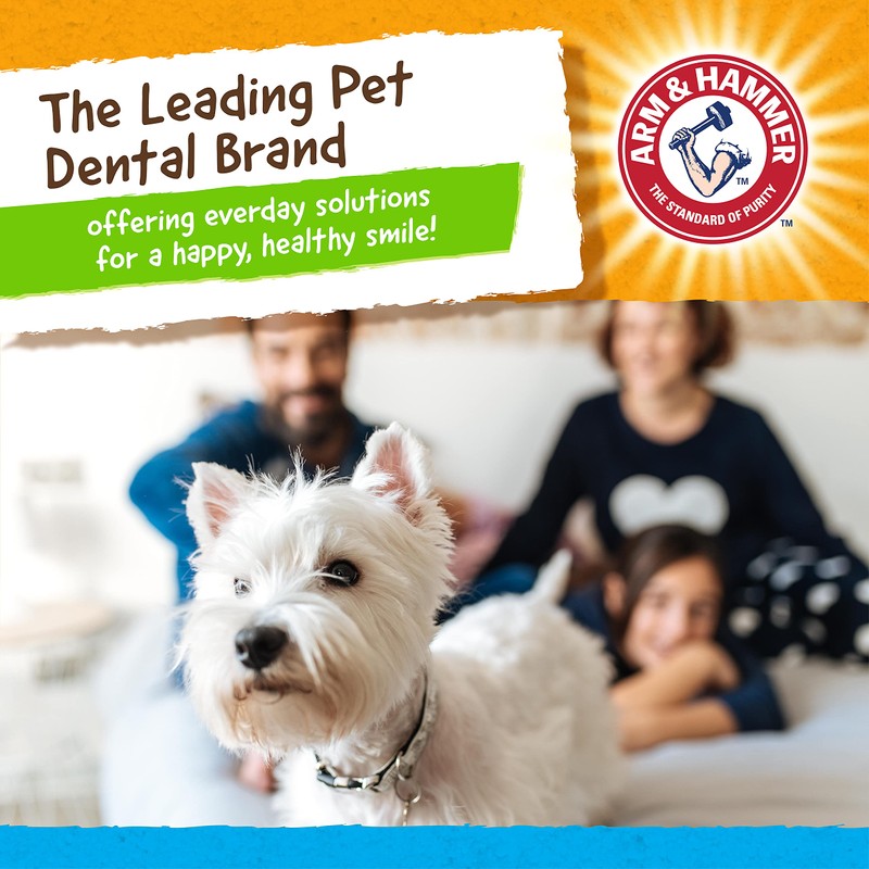 Arm & Hammer For Pets Rock N Roller Axis Rubber