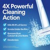 Clorox ToiletWand Toilet Cleaner Refills, Toilet brush, Rainforest Rush, 30