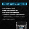ONNIT Creatine Monohydrate Powder, Creatine Powder Supplement That Promotes Strength
