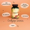 Vegavero Vegavero Cordyceps Sinensis 6500 mg | 10:1 Mushroom Extract