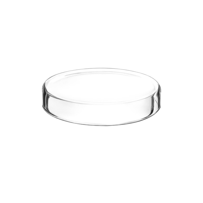 QWORK Glass Petri Dishes with Lid, Thicken, 120mm x 26mm,
