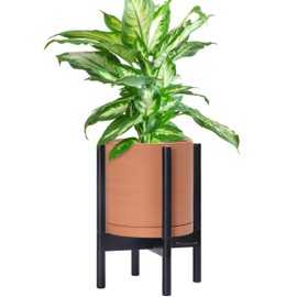 D'vine Dev Terracotta Planter with Ebony Stand - 10 Inch Modern Round Flower Pot with Wood Planter Holder, Terracotta, 55-B-L-5