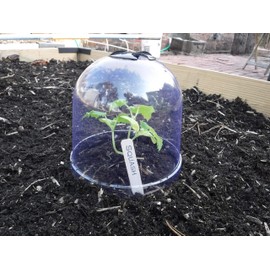 12-Pack! GrowAway Small Reusable Plastic Mini Greenhouse, Garden Cloche Dome, Plant Covers Frost Guard Freeze Protection for Plants Outdoors, Garden Tools, Garden Accessories - 7.87" Diam. x 6.69" H