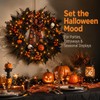 24 in Halloween Wreath for Front Door, Black Skeleton Spider