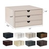 UnionBasic Document Organizer, 3-Drawer File Cabinet Document Storage Box, Office