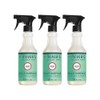 MRS. MEYER'S CLEAN DAY Multi-Surface Everyday Cleaner Mint Scent (Pack