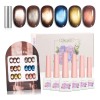 Esmaltes Uñas Gel Efecto Ojo Gato 6 Units 12 Ml+