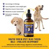 Special Breed Liquid Vitamin B12 for Dogs – Methylcobalamin and