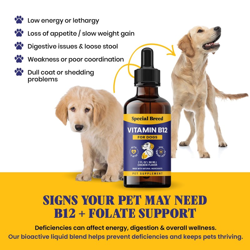 Special Breed Liquid Vitamin B12 for Dogs – Methylcobalamin and