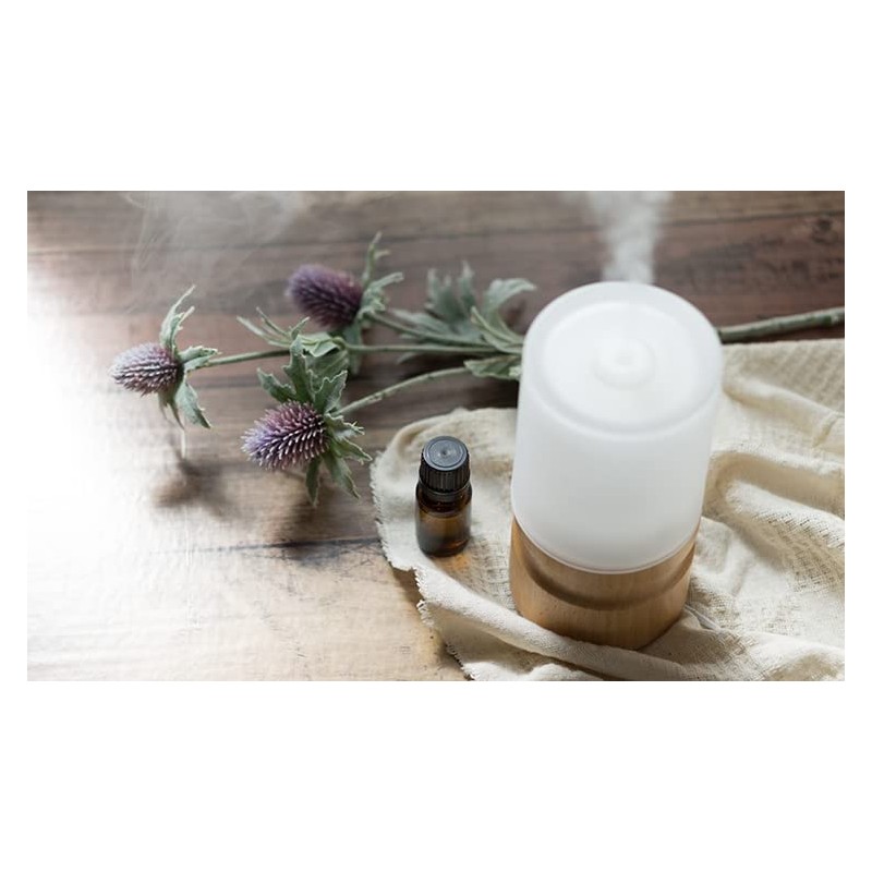  Organic Lavender Nature's Note Organics 100% Pure Aromatherapy Essential