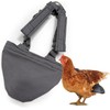 Hen Holster Bikini Diaper, Bird Diaper & Harness for Hens,