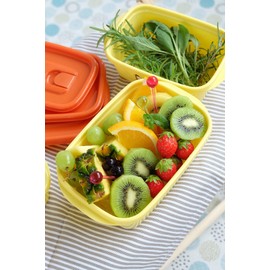 Iwasaki Industry Snoopy Storage Container with Flap Container, 13.5 fl oz (400 ml) (Set of 2)