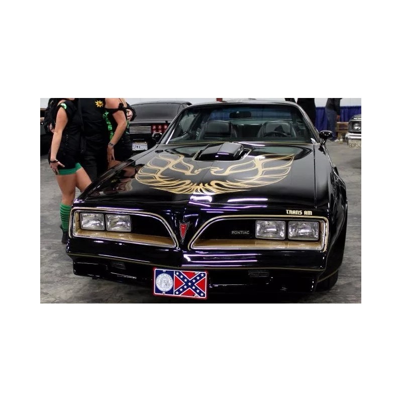 Bandit Smokey and the Bandit Firebird Trans Am Georgia License
