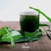 Clorofila Líquida Concentrada 500 Ml Sheló Nabel Limpia 3 Pz