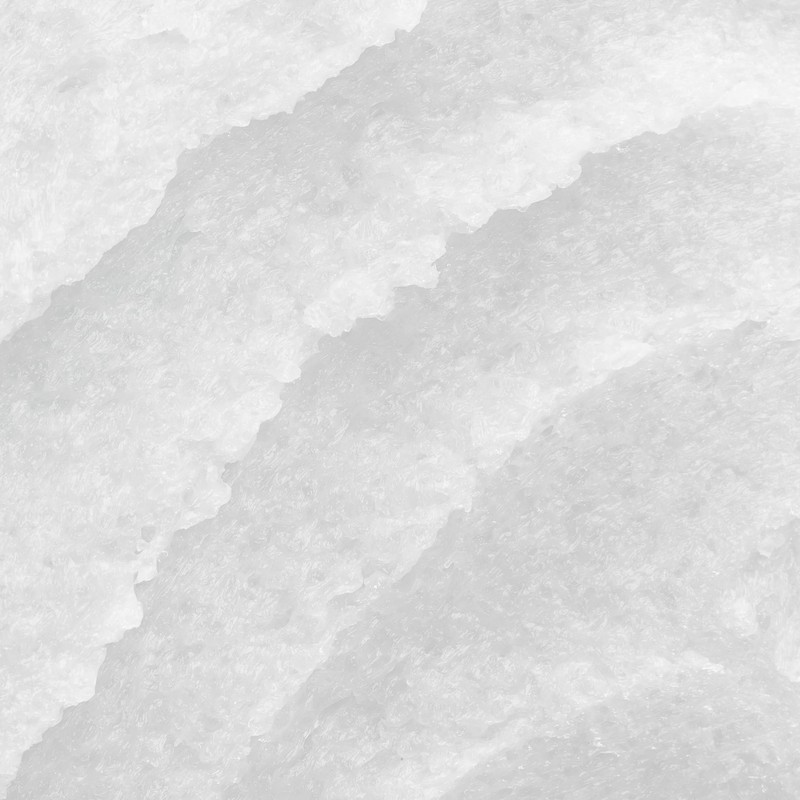 hairgoods Oily Sea Salt Shampoo with Natural Algae, Hair Scrub,