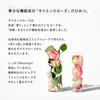 [SISI] Rosality-Watery Mask, 1.8 oz (50 g), All-in-One Moisturizing Cream