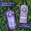 Herbal Essences Shampoo Antifrizz Lavanda & Aceite de Almendras 400