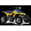 SUZUKI LT500R LT500 500 QUAD RACER QUADZILLA CYLINDER NUT STUD,