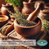 Thüringer Thyme Ruined 500 g - Tea & Spice -