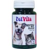 PetVits Energy Boost for Cats & Dogs : Energy and