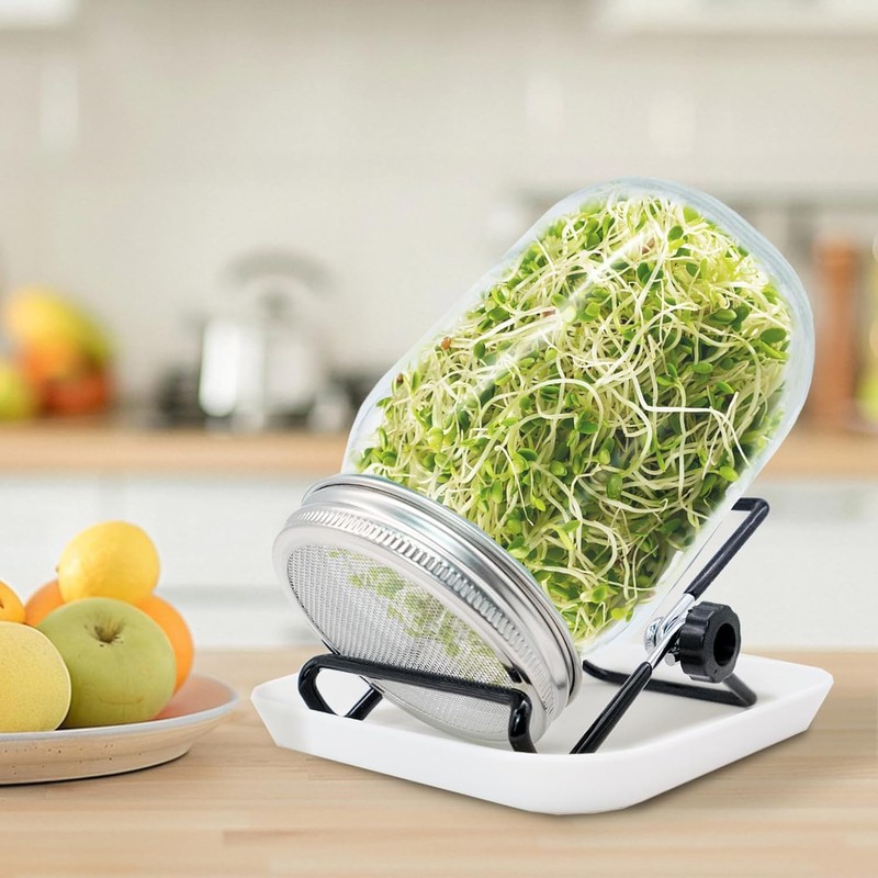 Sprouting Jar, Sprouts Growing kit, Mason Jar for Bean Sprouts