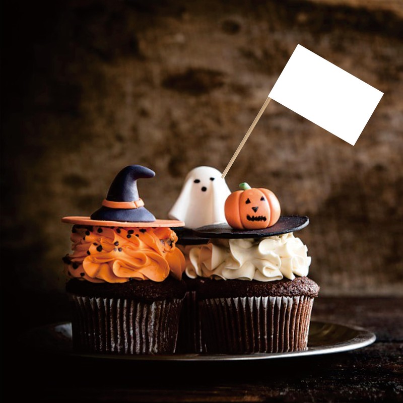 Blank Toothpick Flag Small Mini Labeling Marking DIY Stick Flags