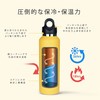 Revomax 2 Carbonated Vacuum Insulated Bottle, 20 oz (592 ml),
