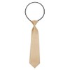 Autiga Children's Tie for Boys Elastic Band Tied Stretchy Confirmation