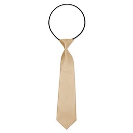 Autiga Children's Tie for Boys Elastic Band Tied Stretchy Confirmation Christening, champagne
