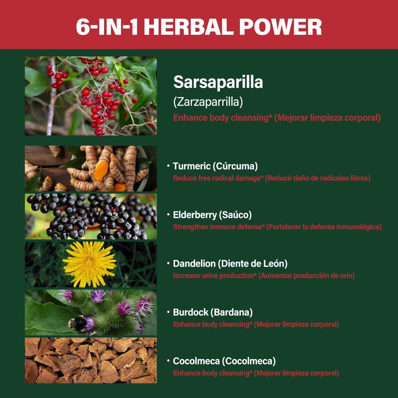 Verdeherb Sarsaparilla Root Capsules, Natural 6-in-1 Formula Supplement with Sarsaparilla