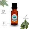 Aceite Esencial de Salvia Natural Puro Aromaterapia