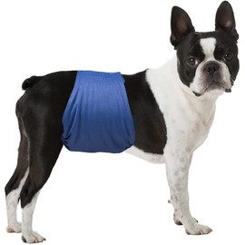 LeerKing Dog Nappies for Male Dogs, Washable Male Nappy, Incontinence, Male Bandage for Male Dogs, Puppies, S