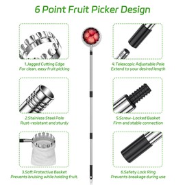 BURMONG 13.8 FT Fruit Picker Tool with Stainless Steel Pole & Soft Basket – Adjustable Tree Fruit Harvester for Apple, Mango, Avocado, Orange, Pear, Lemon & More – Lightweight & Rust-Resistant