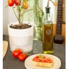 Phomemo Round Transparent Labels, Compatible with M220 M250 M221 M120
