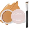 LOKFAR Concealer Full Coverage Kit with Brush, Under Eye Concealer