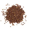 Spicy Yum! Grains of Paradise - Whole Alligator Pepper (Atare,