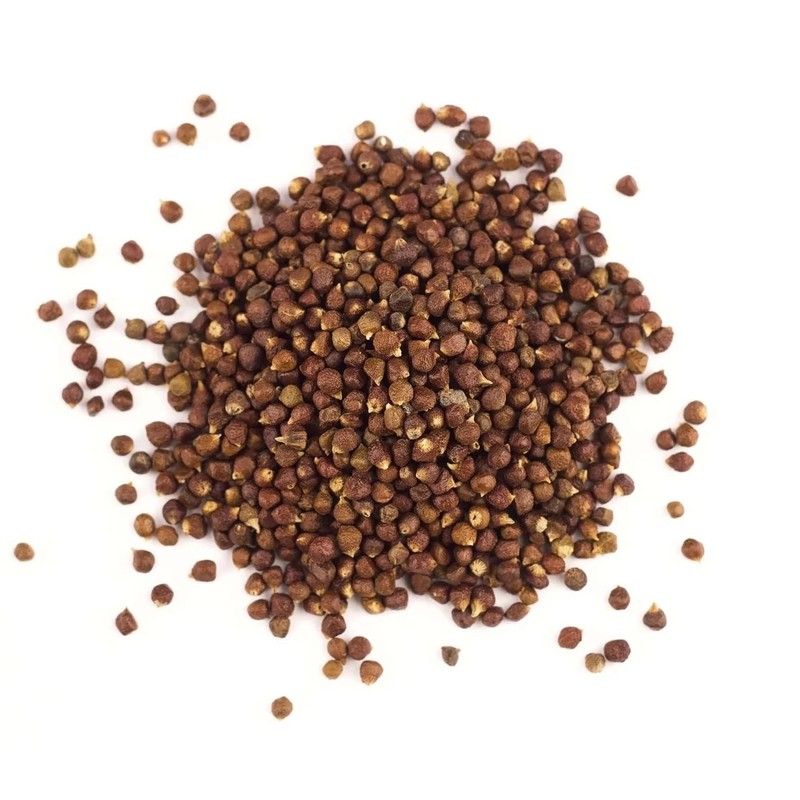 Spicy Yum! Grains of Paradise - Whole Alligator Pepper (Atare,