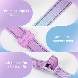 BELLA & PAL Martingale Collar for Dogs, Adjustable, Reflective Dog Collar with Quick Release Buckle, Limited Slip Collar Escape Proof for Walking and Training, Ideal for Small/Medium/Large Dogs, M