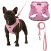 AMTOR Small Dog Harness with Leash Set, No Escape Easy