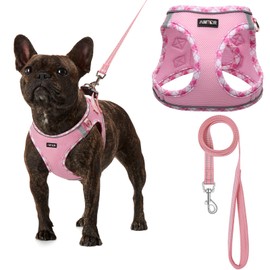 AMTOR Small Dog Harness with Leash Set, No Escape Easy Walk Puppy Harnesses for Training Walking, Step-in Reflective Soft Dogs Vest for XS S Medium Extra-Small Large Sized Dog(M Size,Pink/White)
