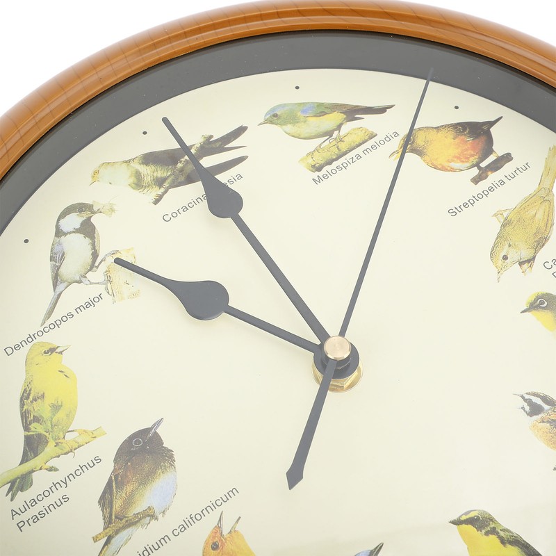 10 Inch Wall Clock Multipurpose Cuckoo Round Silent Punctual Bird