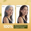 Shampoo Tinte Instantaneo 15min Cubre Canas Jengibre Full