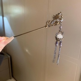 Vintage Dragon Lantern Tassels Hair Stick, Retro Chinese Coiled Hair Alloy Hair Chopsticks Hair Accessories Hair Fork for Buns (Black)