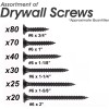 FASTENPOWER #6 Bugle-Head Coarse Thread Drywall Screws Assortment Kit, 6