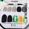 COLORBIRD NAILFAIRY (025ZF) Nail Tips, Short, Black, Green, Yellow, Cute,