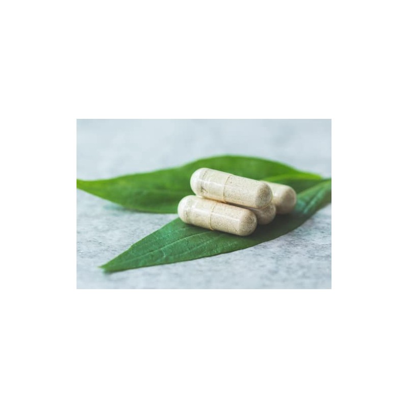 Antler Farms 100 Pura Médula Ósea Nueva Zelanda 120 Cápsulas