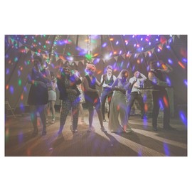 Showlite PBM-5 Mini Party Ball - Small LED Disco Ball for Party, Bar and Mobile DJs - Disco Lamp with USB Power Supply - Music Controlled Light Effect - Disco Light for Children