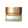 1 KOY Solid Volume Core Cream 50ml / 코이 KOY 솔리드 볼륨 코어 크림 50ml 1개