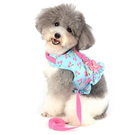 SMALLLEE_LUCKY_STORE Bow Flower Print Cat and Small Dog Harness Dress with Leash for Girls Adjustable No Pull Escape Proof Soft Walking Jacket Waterproof Puppies Kitten Harness Vest Outdoor