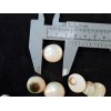 Florida Shells and Gifts 12 Pale Cat Eye Shells Seashells